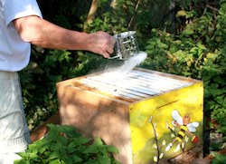 tl_files/demografiken/galerie/Bestaeuben drehen.png