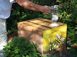 tl_files/demografiken/galerie/Bestaeuben stossen.png