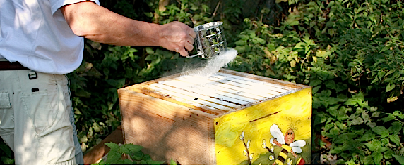 tl_files/demografiken/galerie/Bestaeubung gross.png