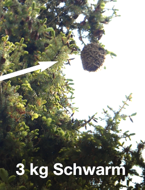 tl_files/demografiken/galerie/Bildersammlung oeffentlich/20m Hoehe 2.png