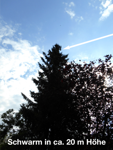 tl_files/demografiken/galerie/Bildersammlung oeffentlich/20m Hoehe1.png