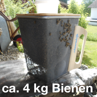 tl_files/demografiken/galerie/Bildersammlung oeffentlich/4 kg Maiximum.png