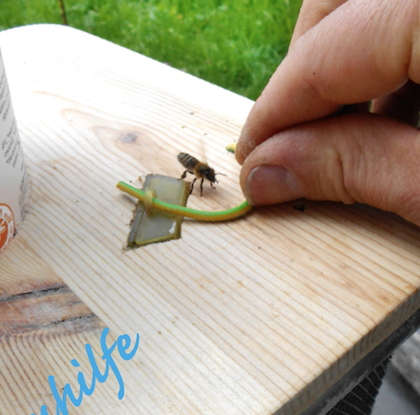 tl_files/demografiken/galerie/Bildersammlung oeffentlich/KOe zusetzen2.png