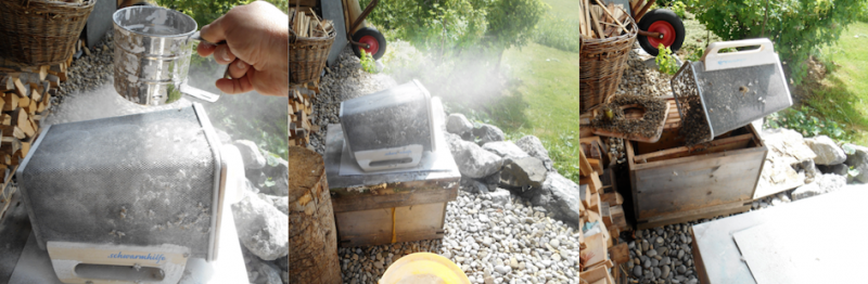 tl_files/demografiken/galerie/Bildersammlung oeffentlich/PZM3.png