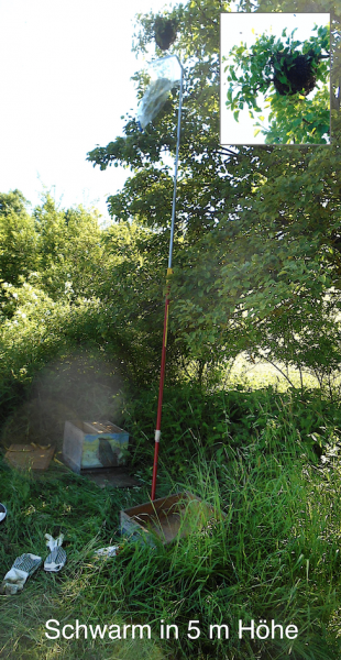 tl_files/demografiken/galerie/Bildersammlung oeffentlich/Schwarm 5 m hoehe.png