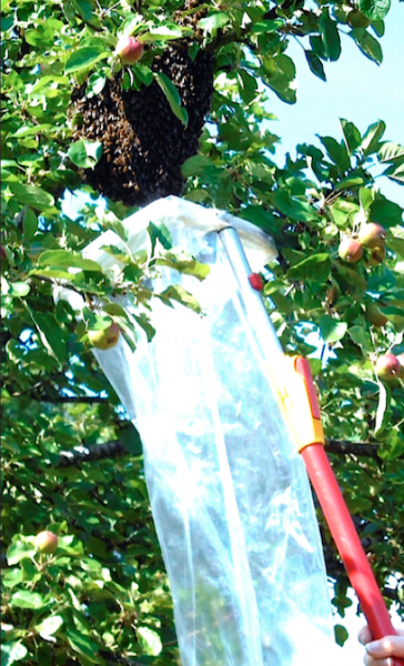 tl_files/demografiken/galerie/Bildersammlung oeffentlich/Schwarmeinholen Sack.png