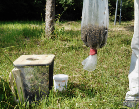 tl_files/demografiken/galerie/Bildersammlung oeffentlich/Umfuellen1.png