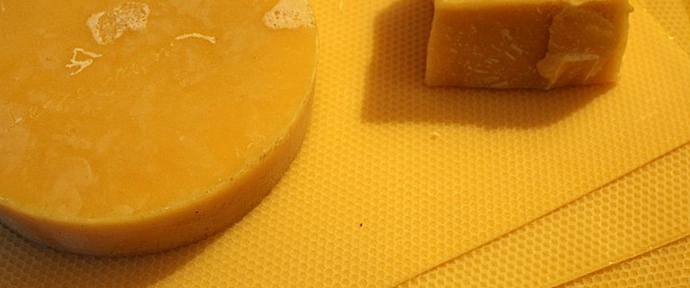 tl_files/demografiken/galerie/Blockwachs klein.jpg