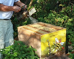 tl_files/demografiken/galerie/bestaeuben rauch.png